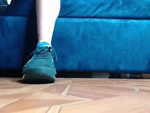 عرض كام alphaswitchard