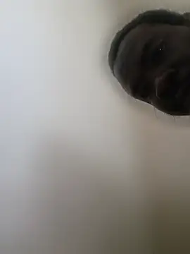 แชท XXX สดของ Prikev38452