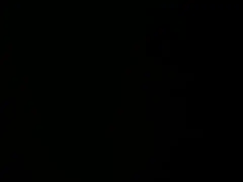 wild_tamarra 웹캠 쇼