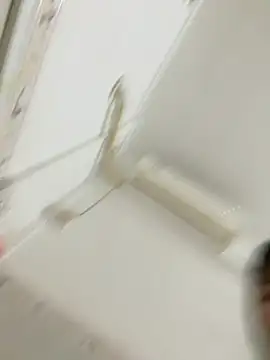 Loyalty-love Pertunjukan Webcam