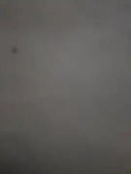 adonis22525 – Kamerová šou