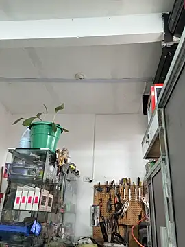 Paul22cm- webkamerás műsora