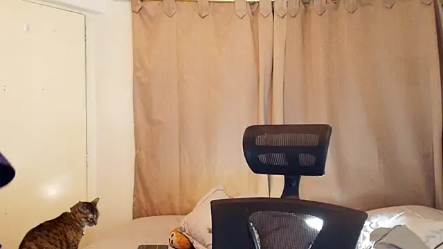 jimmy_class' Live XXX Chat