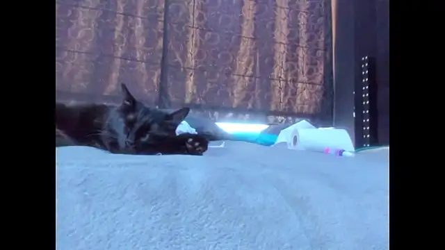 دردشة amareto_queen الجنسية المباشرة