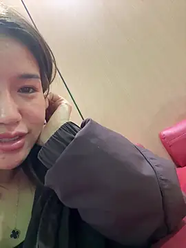 Show Webcam de Quickhk