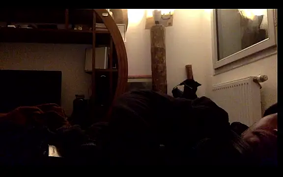 Feekeeh Show in webcam