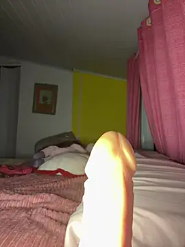 Show de gabibis na webcam