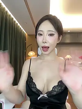 AYW-21 网络视讯表演