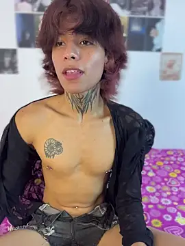 bellamy_095n Webbikameraesitys