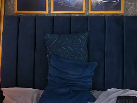 แชท XXX สดของ Lancelot_Benwick