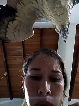 Chat +18 de Sexi_girl29 ao vivo