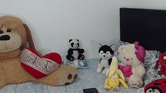 crss_2020 Show Webcam