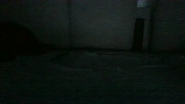 Show webcam de Chichoplus1