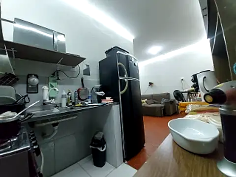 Show webcam de Gasc_1992