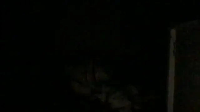 KittymarleneのライブXXXチャット