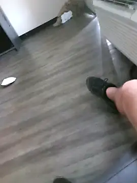 SpannedHazelnut webkamerás műsora