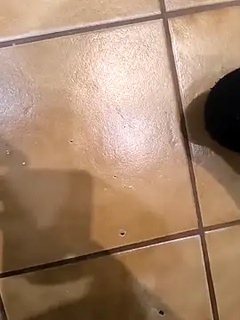 Slut18yn Webbikameraesitys