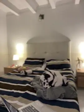 Chat +18 de SelenaStone ao vivo