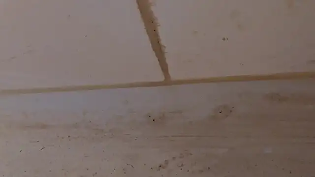 MC353535 – Kamerová šou