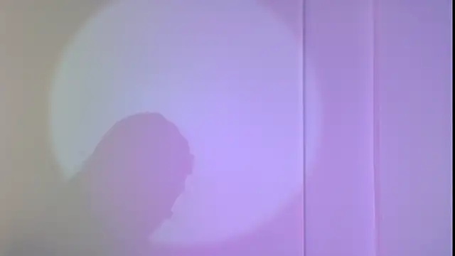 Chat +18 de leemiaaus ao vivo