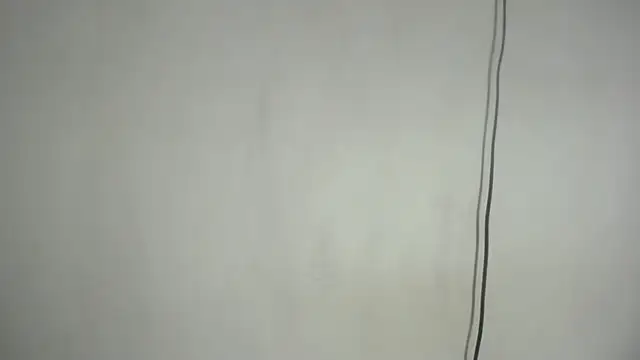 Foxy_Lovex 웹캠 쇼