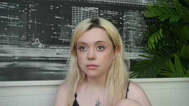 Show Webcam de FlexiCassie