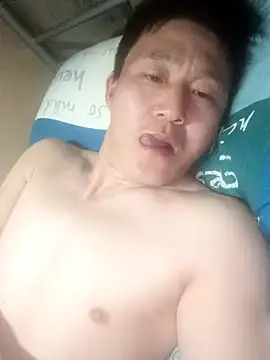 wadmma 网络视讯表演