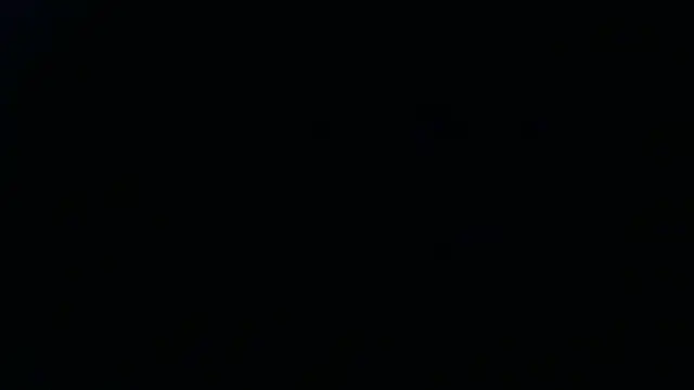 Show de webcam de _______the