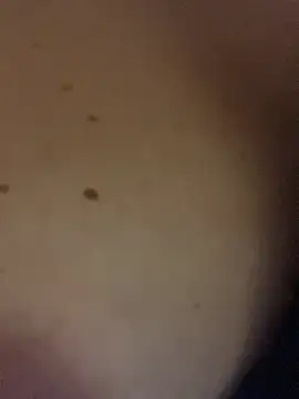 SexyTs888 Chat XXX live