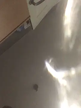 Sexyheelskev Pertunjukan Webcam