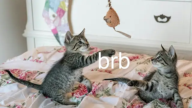 Pink_girl0n Adlı Modelin Canlı XXX Sohbeti