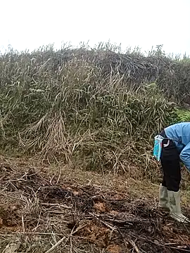 nangmo 现场XXX聊天