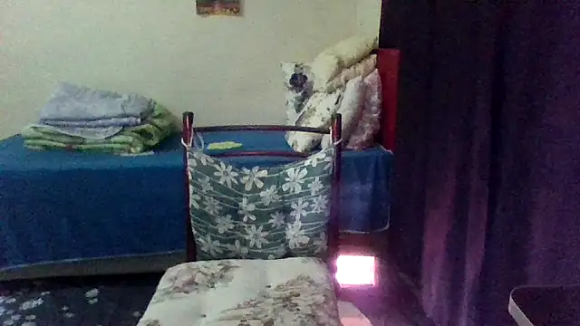 st206boy Live XXX Chat