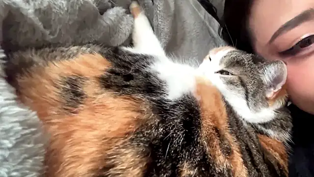 Вебкам-шоу SweetMiaXO