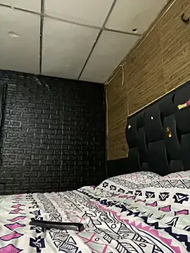 JustynAle2025 Webcam-Show