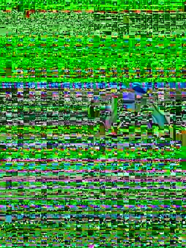 propertyofdaddy 即時 XXX 聊天