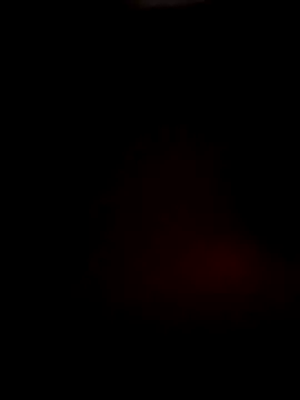 Онлайн чат XXX daisylouis