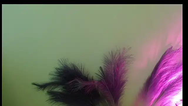 Chat XXX en directo de Queen_Rousee