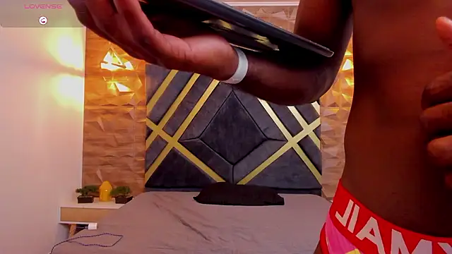 Oliver_Laurent_ Show Webcam