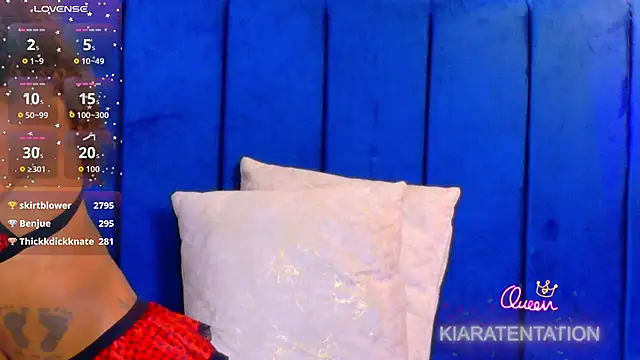 Webkamerová show kiaratentation