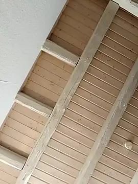 Show webcam de bbcprinz