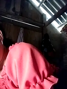 Sam-cute 现场XXX聊天