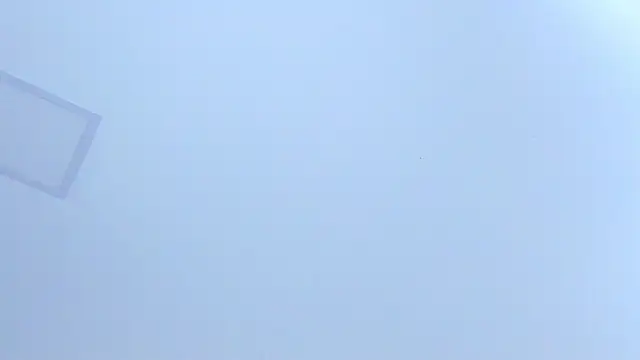 Juliethaamour élő XXX-chatje