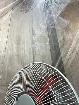 Forida-ciea Webcamshow