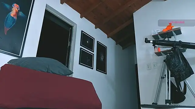 SilvaBranko 웹캠 쇼