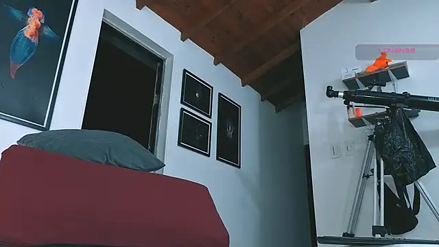 Webkamerová show SilvaBranko