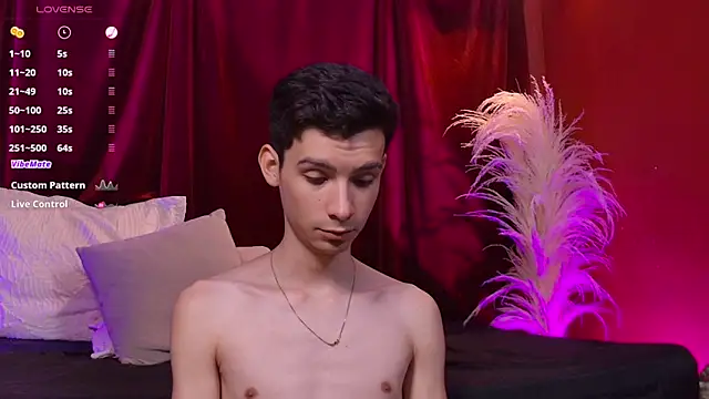 VicenteFerrer Pertunjukan Webcam