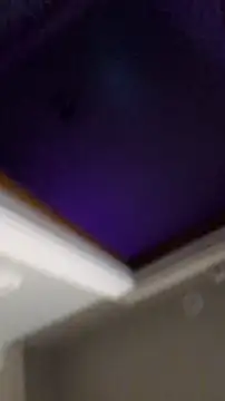 SitOnMyFace8426: в ебкам-шоу