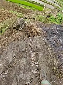 Mryy-ryy's Live XXX Chat