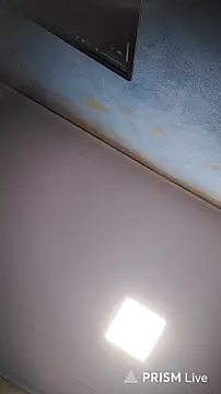 Chat +18 de GrossoVeiudo20cm ao vivo